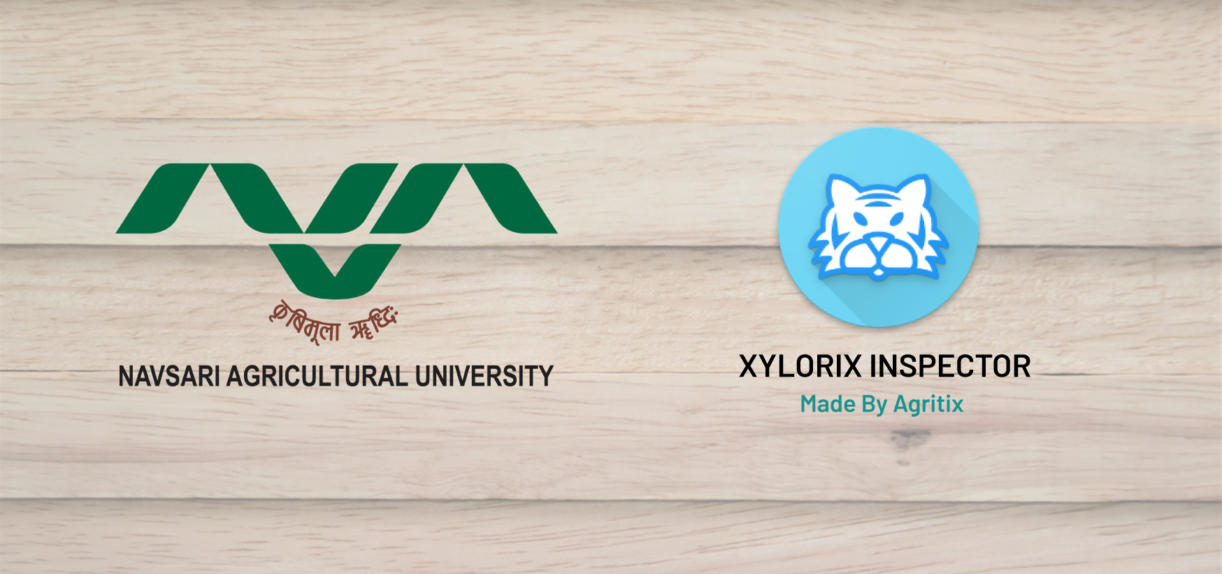 NAU develops Wood Identification AI models for Teak, Malabar Neem & Ardu using Xylorix Platform